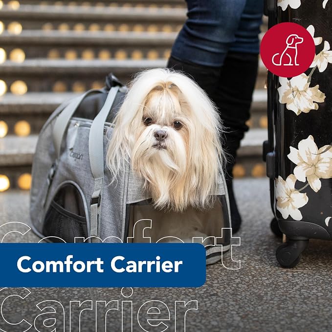 Coastal Pet Bergan Comfort Carrier - Breathable Travel Carrier for Dogs & Cats - Heather Grey, 16" x 8" x 11" - Image 2