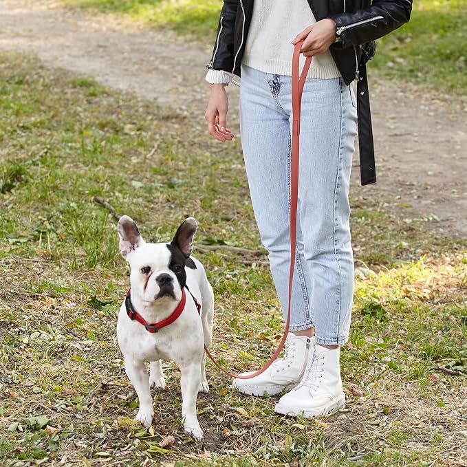 Dogline Biothane Waterproof Dog Leash Strong Coated Nylon Webbing with Black Hardware Odor-Proof Easy to Clean High Performance for Small or Large Dogs Made in USA 4 or 6 ft Lead, Coral - Image 7
