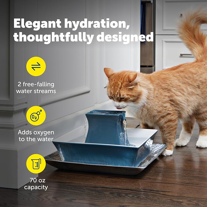 PetSafe Drinkwell Pagoda Ceramic Fountain, 70 oz, 2 Streams, Extra Filters | 2 Falling Water Streams Encourage Hydration, Cat & Small Dog Water Fountain, 4-Pack Carbon Filters and 2-Pack Foam Filters - Image 4