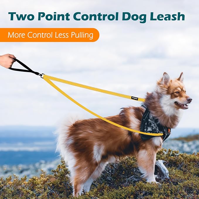 PetBonus Two Point Control Dog Leash, No Tangle Training Walking Leashes | Soft Padded Handle, Reflective, Works with No Pull Harnesses, Converts to Single Lead for Medium Large Dogs, Yellow - Image 2