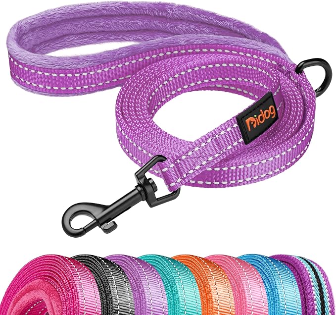 Didog 6FT Reflective Dog Leash for Small Medium Dogs,Slim 5/8" Width,Purple | Soft Padded Handle, Plush Comfort Grip, Tangle-Free, 360° Swivel Clasp for Daily Walking and Training, Night Safety by Didog