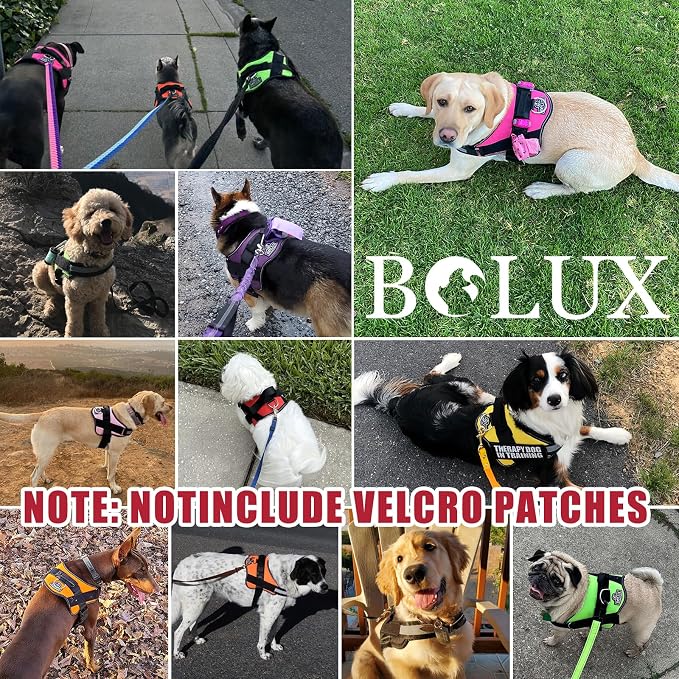 Dog Harness, No-Pull Reflective Dog Vest, Breathable Adjustable Pet Harness with Handle for Outdoor Walking - No More Pulling, Tugging or Choking (Flag, Medium) - Image 5