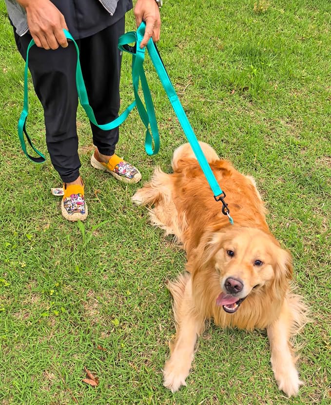 3 Handle Dog Leash 10FT Triple Handle Reflective Large Medium Dog | Multi Handles Heavy Duty Training Lead with Padded Traffic Handles for Control and Safety - Image 8