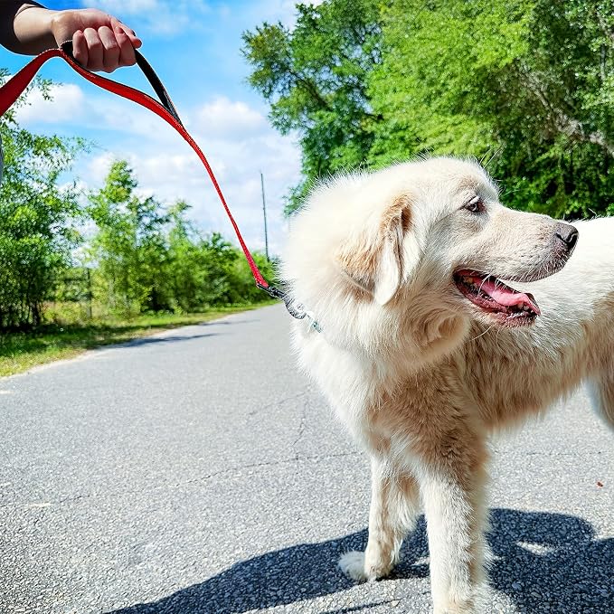 Joytale Dog Leash for Large Dogs that Pull, Double Handle, 5FT, Red | Traffic Handle for Control, Padded Handle Reduces Hand Strain, Reflective Stitching for Night Safety, Strong Nylon Webbing - Image 4