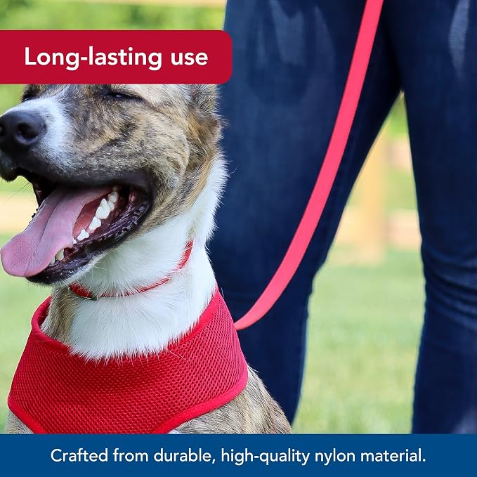 Coastal Pet Single-Ply Dog Leash - Sturdy Pet Leash - Comfortable & Stylish - Resists Fraying - Vibrant & Fade-Resistant Color - Pink Flamingo, 3/8" x 6' - Image 4
