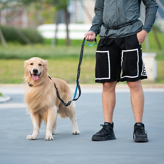 Hands Free Dog Leash with Zipper Pouch, Colorful Rhombus, Large | Waist Leash, Dual Padded Handles, Shock-Absorbing Bungee, Adjustable Waist Belt, Walking and Running - Image 7