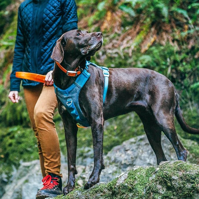 Kurgo Journey Air Dog Harness, Blue, Extra Large | Padded Chest, Ripstop Outer & Breathable Mesh, Back Assist Handle, Rust-Free Aluminum Hardware, Reflective Trim - Image 2