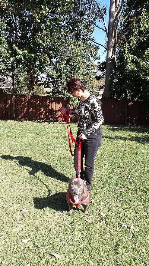 Dog Leash 8ft Long - RED - Traffic Padded Two Handle - Heavy Duty - Double Handles Lead for Control Safety Training - Leashes for Large Dogs or Medium Dogs - Dual Handles Leads - Image 3