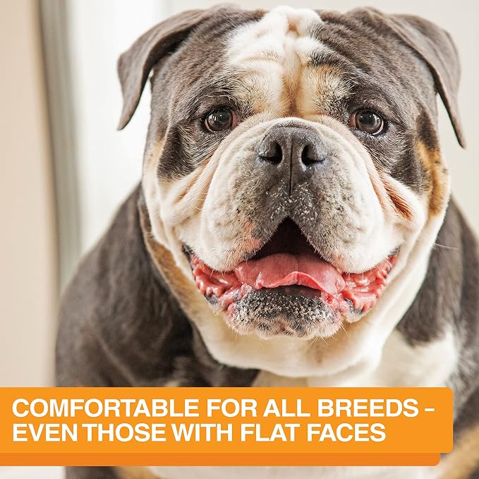 Neater Feeder Express Mess Proof Dog Bowls Elevated for Medium and Large Breed – Made in USA – No Spill Raised Slow Feeder Elevated Dog Bowl Stand, Slow Feed Food and Water Bowl Set, Grey - Image 8