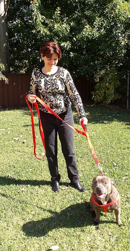 Dog Leash 6ft Long,Traffic Padded Two Handle,Heavy Duty,Reflective Double Handles Lead for Control Safety Training,Leashes for Large Dogs or Medium Dogs,Dual Handles Leads(Red) - Image 4