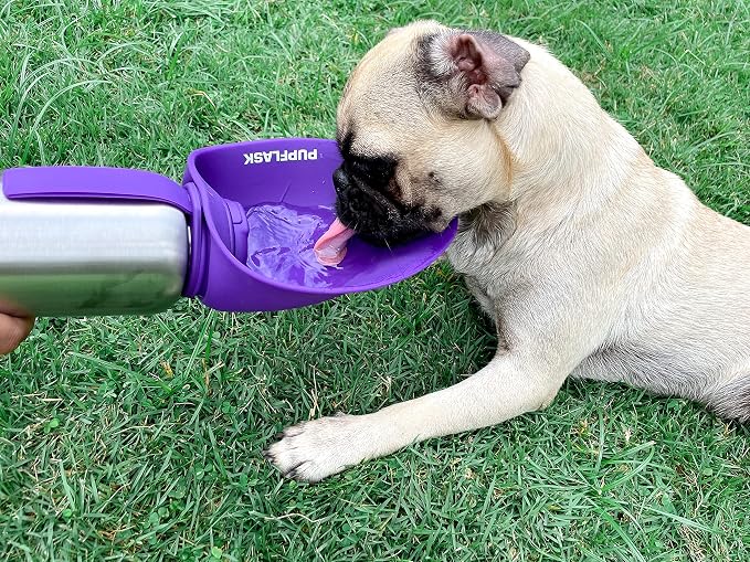 PupFlask Large Dog Water Bottle, Portable Stainless Steel Travel Bowl | 27 or 40 oz Leak-Proof Drink Dispenser with Built-In Cup and Carry Strap for Walking, Hiking and Travel; For All Dog Breeds - Image 9